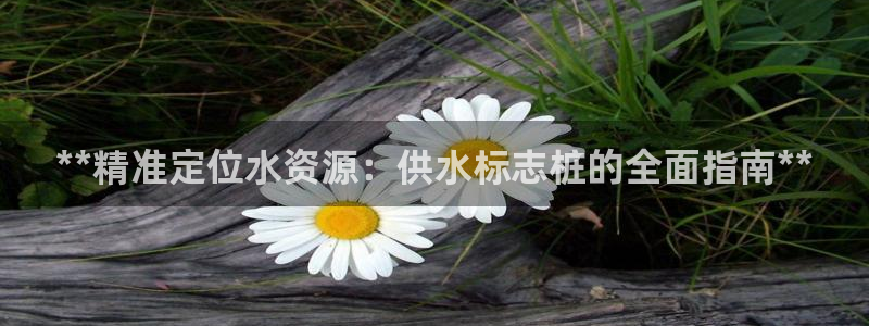 球友会提款不到账