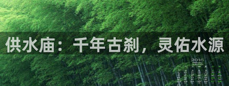 球友会app官方网站入口