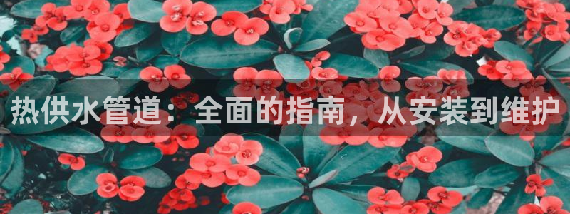 球友会体育app下载安卓最新版