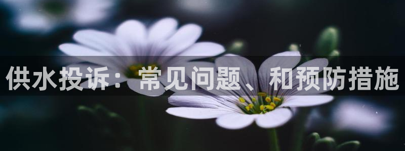 qy球友会体育
