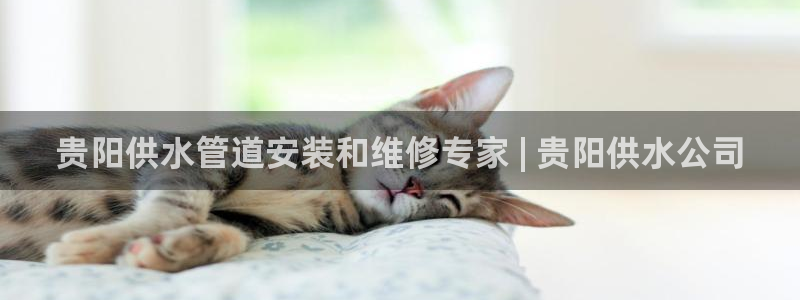 球友会官网登录入口在哪