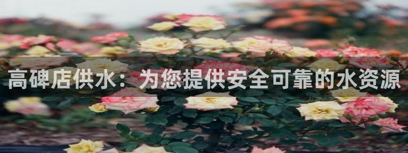 球友会app官方网站入口