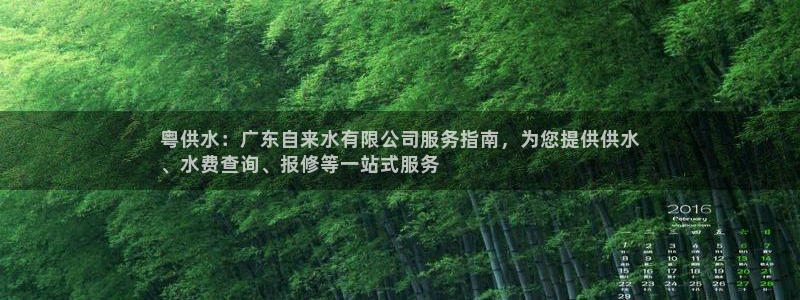 球友会FIFA22比赛是否能随机超控