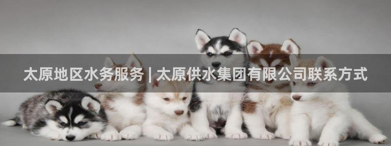 球友会在线登录账号吗知乎